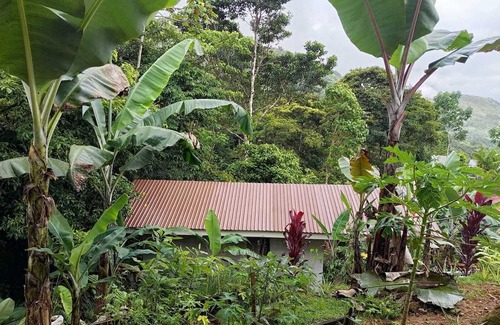 Pejibaye Casa | Tiny House Dans les Montagnes à Deux pas de la Rivière