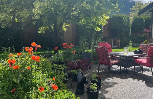 Sardis Cabina | Peaceful Cabin with beautiful mountain views.
