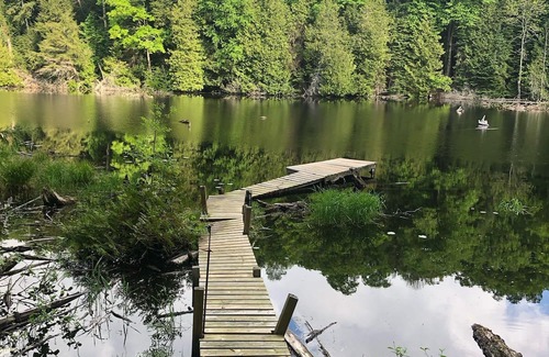 Irondale Cabina | Welcome to Glamor Rustic Retreats, your ideal getaway in Highlands East, Ontario