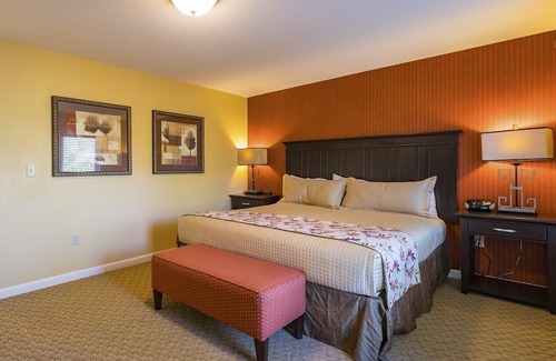 Hancock Complejo | Luxury one bedroom unit with full amenities