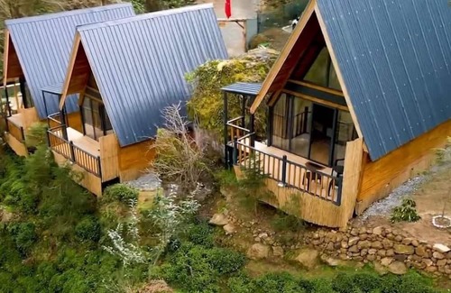 Ayder Casa | doğa severler, serin ve buğulu havada güzel bir konaklama için ÇAMLIHEMŞİN.
