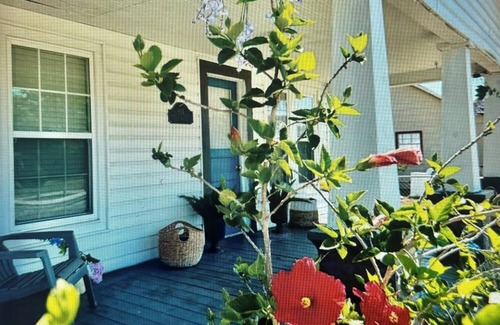 Wauchula Casa | Charming 3-bedroom house with WiFi, AC in gorgeous Wauchula