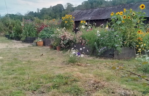 Sutton Cabina | complete chill out
