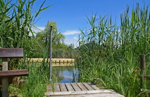 Sankt Kanzian am Klopeiner See Cabaña | Double room, shower, WC, standard - Bed and Breakfast Eckwirt