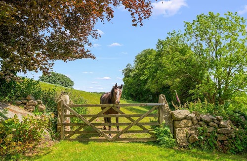 Moretonhampstead Cabaña | The Annex sleeps 2 guests in 1 bedroom