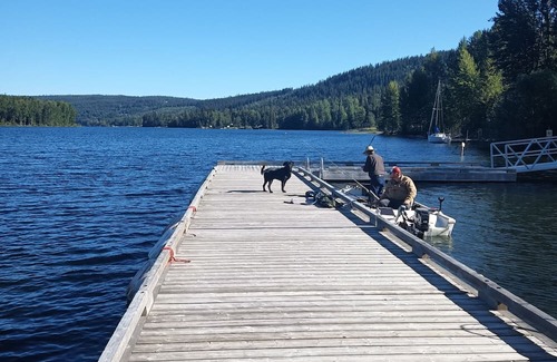 Likely Casa | Cozy cabin meters away from the Cedar creek and Quesnel Lakennnn