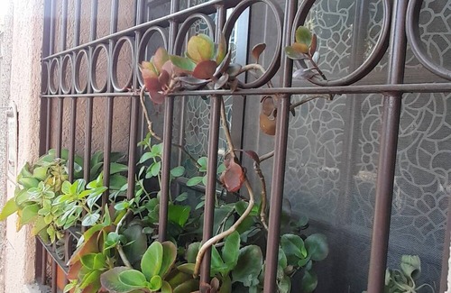 Godoy Cruz Apartamento | Pilar Paz Hospedaje