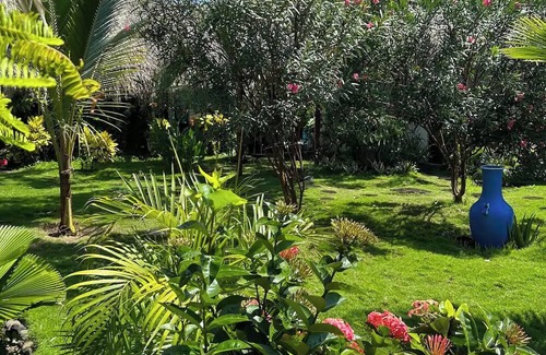 El Paredon Casa | Iguanas Bungalow /private bathroom and pool! AZURA
