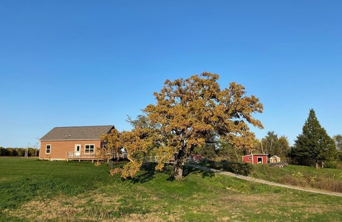Milan Cabina | Cozy cabin on family farm. Surrounded by nature, yet close to the Quad Cities.
