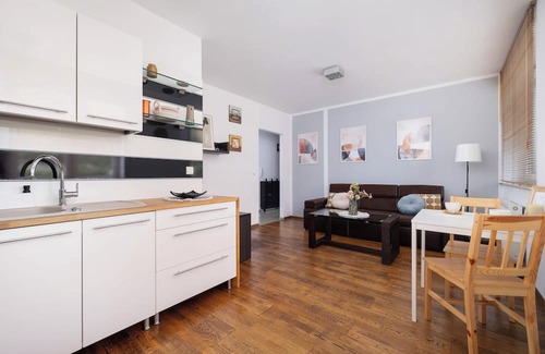 Chorzow Apartamento | Działkowa Apartment Chorzów by Renters