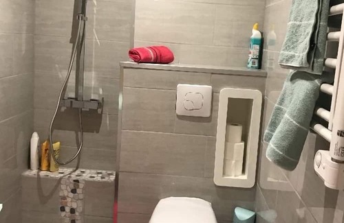 Up 1.5 Saint-Ferreol Apartamento | Charming studio