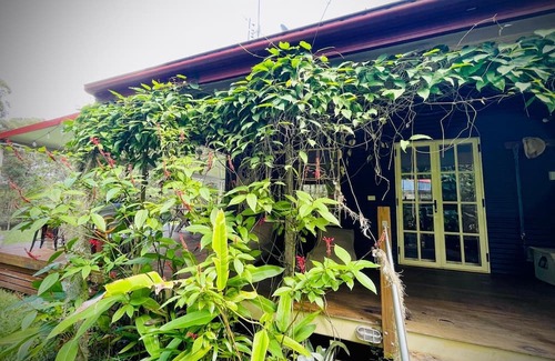 Cootharaba Cabaña | Relaxing Family-Friendly Vacation Home with a nature view in Noosa Hinterland!
