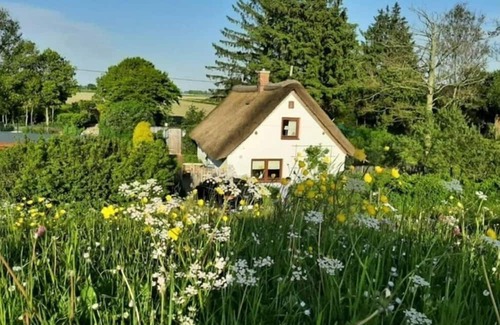 Groven Casa | The little thatched cottage