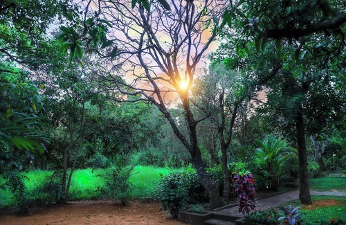 Sigiriya Casa | Escape to Nature's Peace: Relax in Comfort at Cattleya Guest House on VRBO!