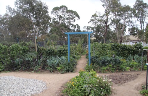 Metcalfe Casa | Unwind in a cosy bungalow in the midst of our organic permaculture mini-farm.