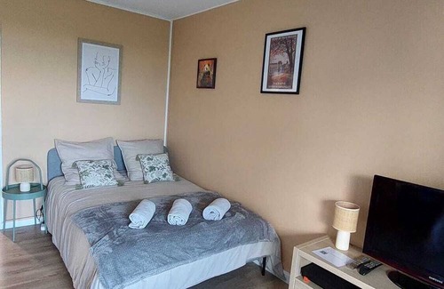 Montrichard Val de Cher Apartamento | Studio Le Cosy