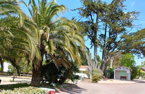 Saint-Pierre-d'Oleron Chalet De Esquí | Holiday home on the island of Oléron in a residential park with heated swimming