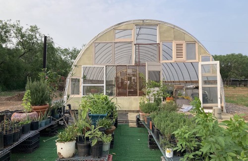 Elmendorf Apartamento | Tiny home nestled in a small patch of forest 20 minutes south of San Antonio.