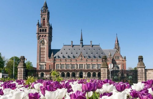 The Hague Center Casa | Ensuring a Very Comfortable & Memorable Stay! Pet-friendly Property!