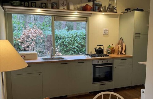 Giethmen Casa | Boshuisje met Open Haard
