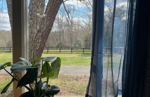 Charlottesville Cabaña | Wine Country Cottage in charming Charlottesville / Ivy VA - WiFi AC Pets Welcome