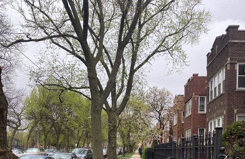 Logan Square Apartamento | Nice quiet neighborhood with quick easy access to the best Chicago has to offer