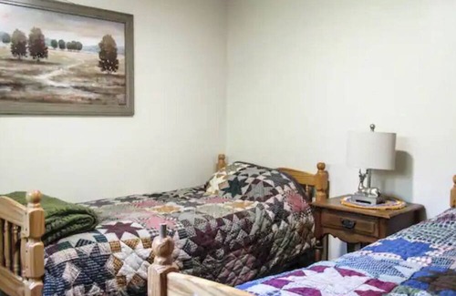 Montrose Cabina | Charming cabin with creek, fire pit. Pet friendly! Walkable to Salt Springs Prk