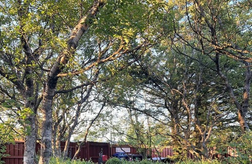 Kopavogur Cabaña | Entire cottage in Kópavogur in a quiet and beautiful neighborhood