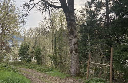 Cottage Grove Apartamento | Lake house Tiny