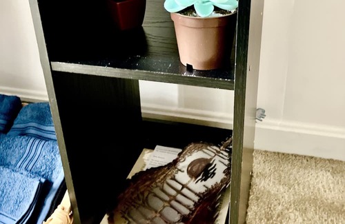 Boonsboro Casa | SRV Room @ Music House Please Read! Half-Bath Only!