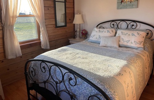 Geneseo Cabina | The Cozy Cabin On Long Point