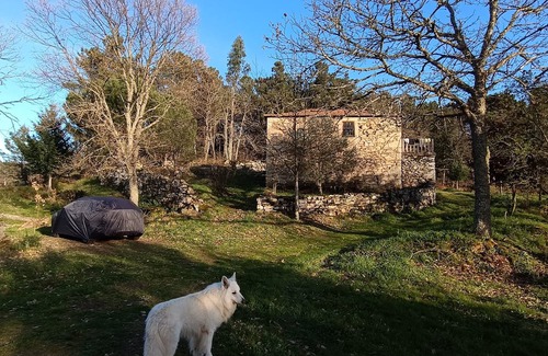 Tarouca Cabaña | Casa Florestal @quintafelizardas