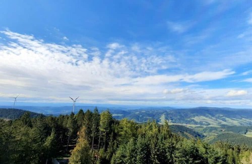 Zell am Harmersbach Apartamento | Appealing apartment in Zell am Harmersbach
