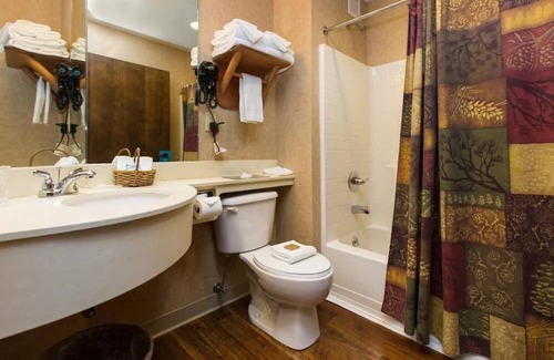 Onalaska Casa | Stoney Creek, Theme Suite Mini Premier, Living Room w/ Sofa! | 3 Units