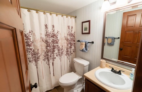Chalet Village Condominio | Comfortable, classy condo with view of Mt. LeConte.