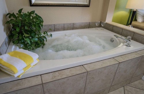 Weston Complejo | Luxury One Bedroom and One Bathroom Unit with Full Amenities