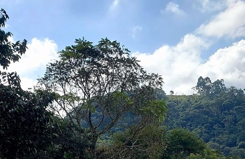 Nova Friburgo Chalet De Esquí | Chale Aconchegante com Trilhas e Riacho Dentro da Mata Atlantica