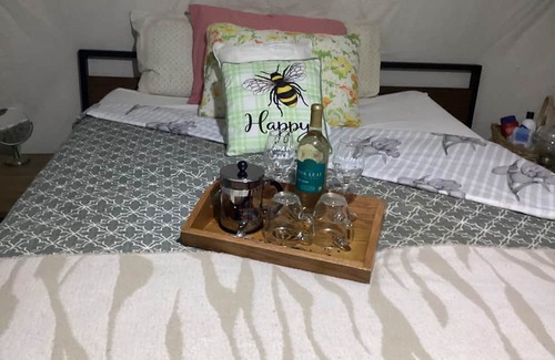 Turtletown Alquiler De RV | Camping with a Twist