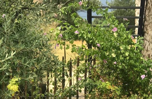 Valaurie Casa | Homerez - Nice house for 2 ppl. with shared pool, garden and terrace at Valaurie