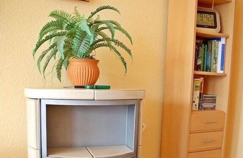 Oberstaufen Apartamento | Apartment with enclosed garden