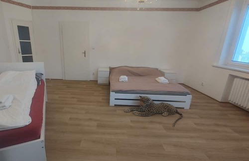 Podoli Apartamento | Apartmán Executive - Pankrác (90m2)