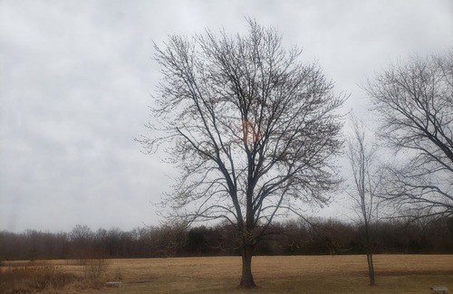 Ozark Alquiler De RV | Primitive camping for April 8th 2024 southern illinois eclipse