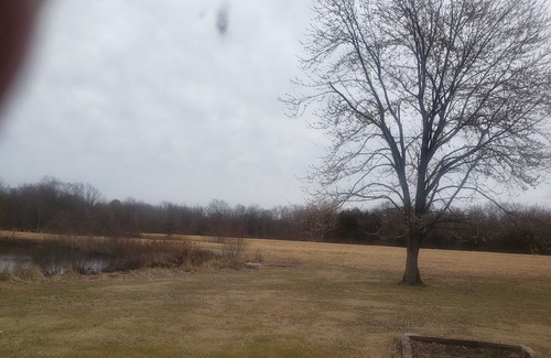 Ozark Alquiler De RV | Primitive camping for April 8th 2024 southern illinois eclipse