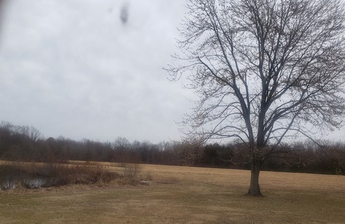 Ozark Alquiler De RV | Primitive camping for April 8th 2024 southern illinois eclipse