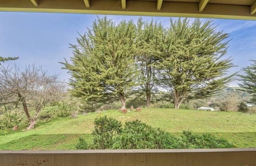 Prunedale Casa | Central Location, cozy 10 Acre Prunedale home - Near Monterey, Carmel, & more