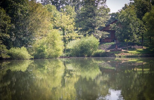 Carbondale Cabina | Hot Tub Cabin- In the Heart of Shawnee Wine Trail