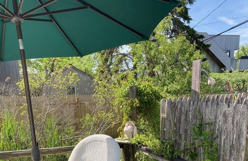 Fair Harbor Cabaña | Original 2-bedroom cottage in lovely Fair Harbor with WiFi