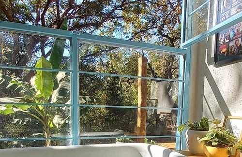 Sao Jorge Chalet De Esquí | Charming and cozy house in the woods in one of Brazil´s most preserved nature