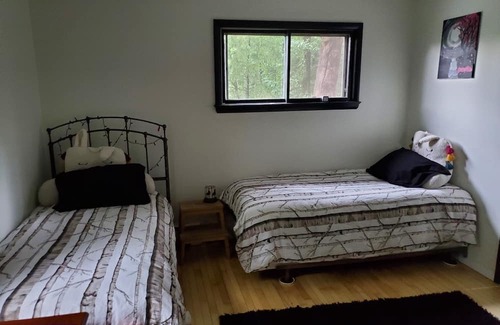 Amherst Cabaña | In-Town Cottage with in-Woods vibe