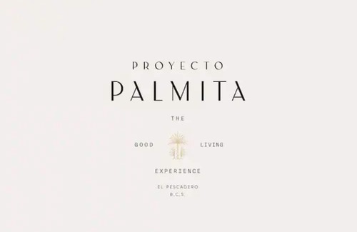El Pescadero Cabina | PH Cocotera between orchards and close to the beach #2